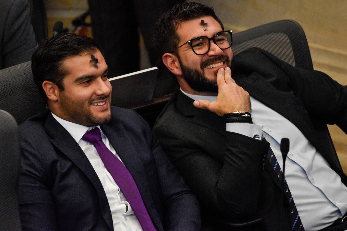 Bogotá. Marzo 05 de 2025. En la plenaria de la Cámara de Representantes, avanza el debate a la reforma de la Salud. (Colprensa - Cristian Bayona).