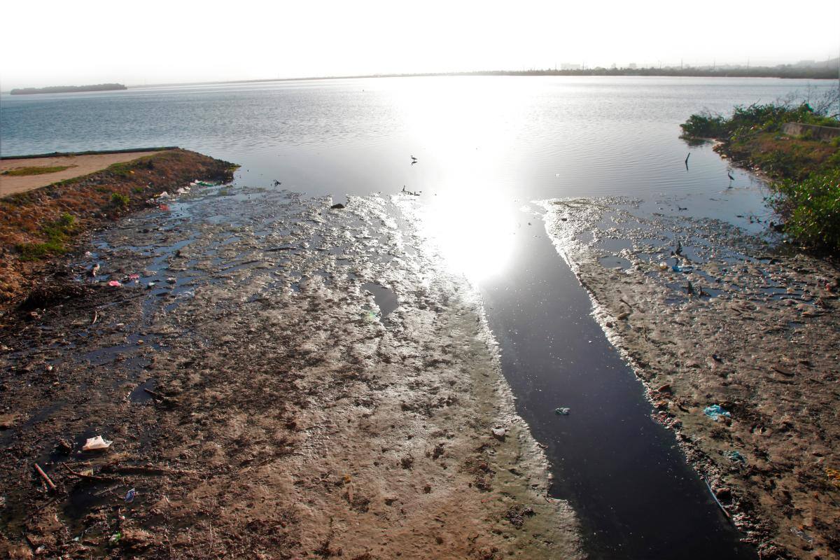 ¡Preocupante! Se está secando la ciénaga de La Virgen