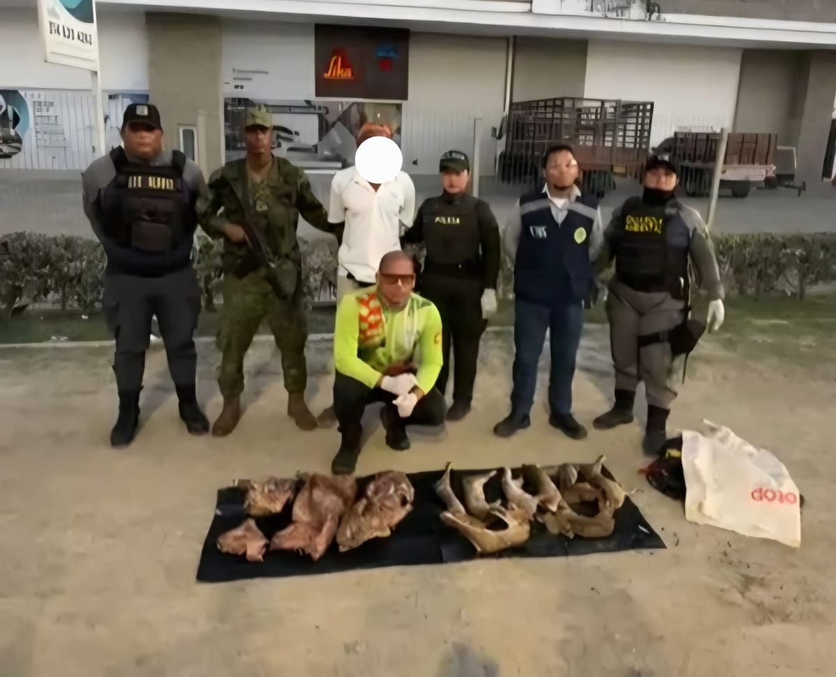 Capturan a una persona por carne silvestre en Mamonal. // Foto: cortesía - Guardia Ambiental Colombiana