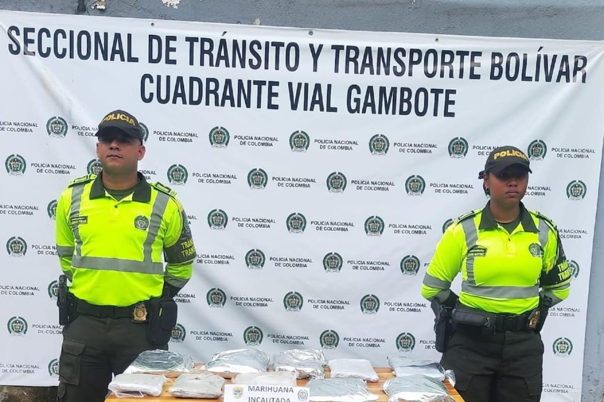 Decomisan más de 4.700 dosis de marihuana en un tractocamión que venía a Cartagena