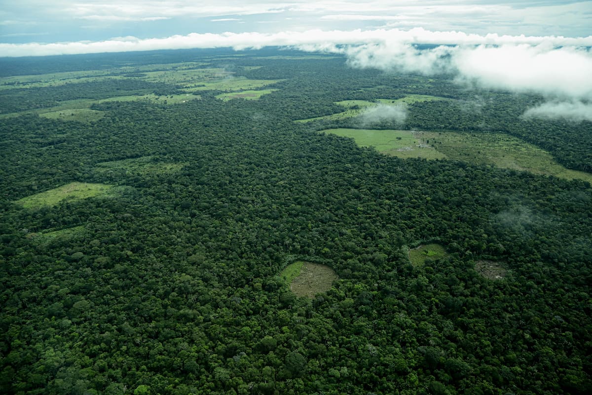 Revocan resolución que protegía la Amazonía como reserva definitiva