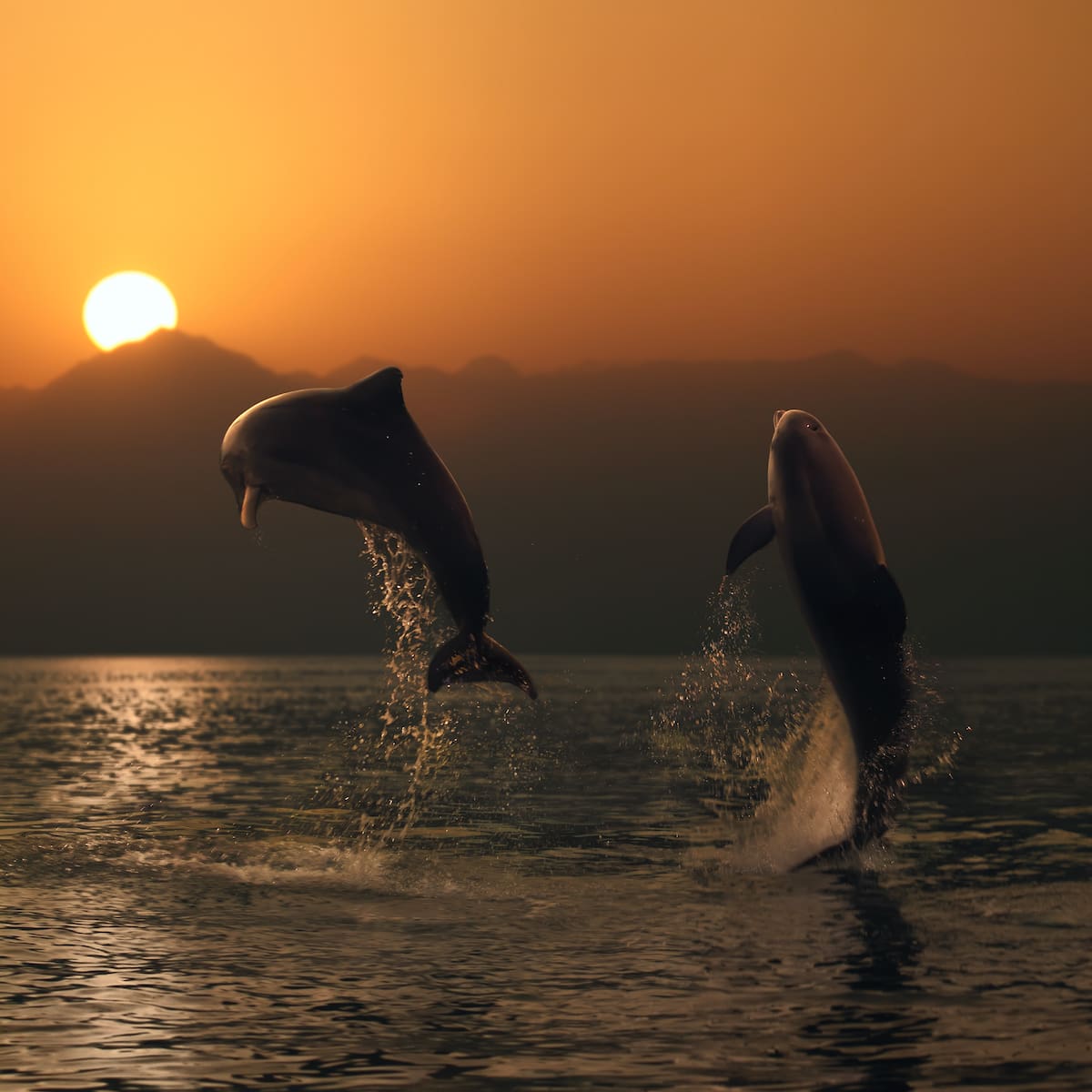 Los delfines rosados se hacen presentes dentro de este impresionante paisaje.