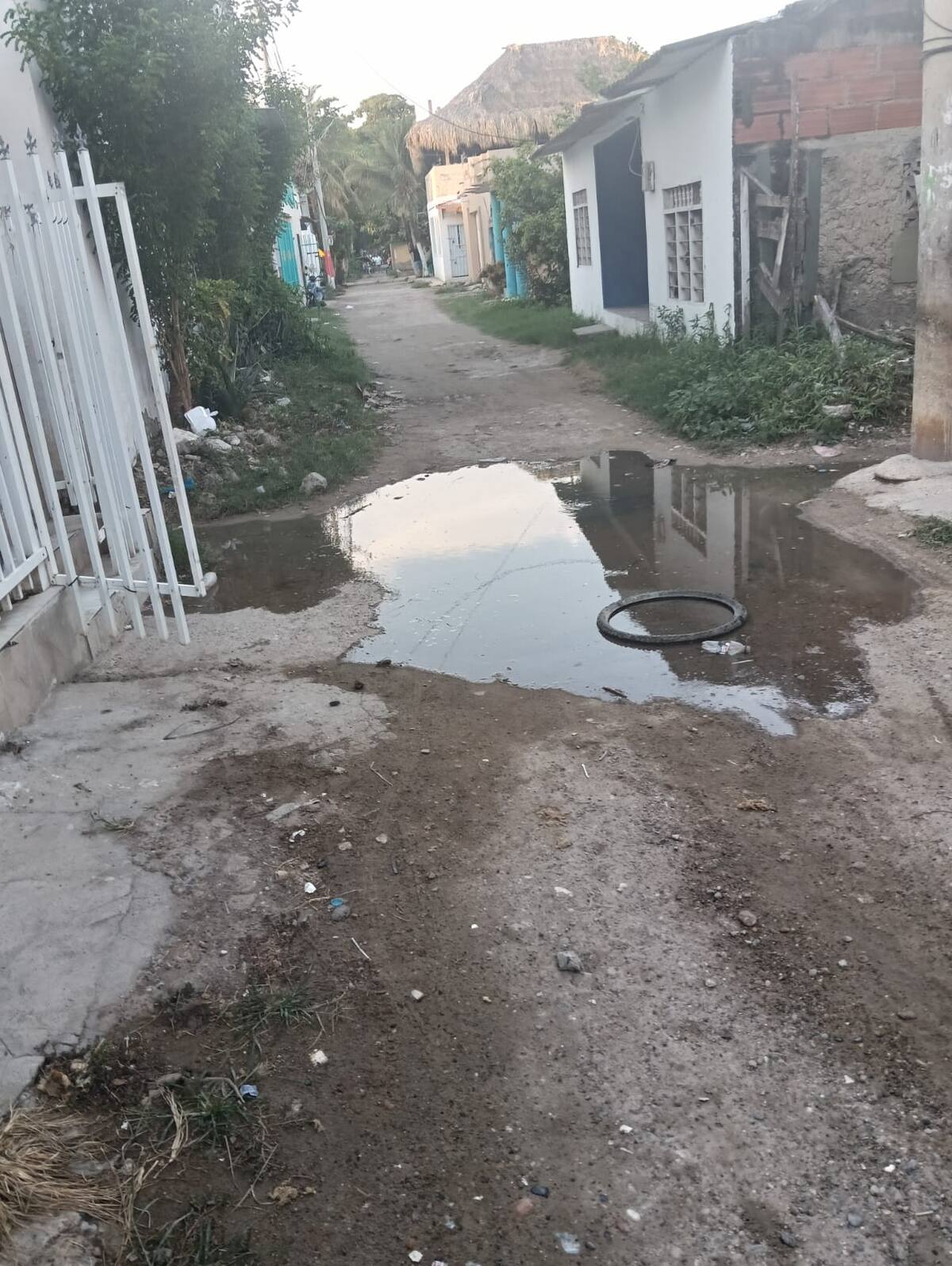 Denuncian desbordamiento de aguas residuales en La Boquilla. // cortesía: comunidad de La Boquilla