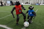 Deporte y trabajo: el nuevo desafío para los robots humanoides en Pekín