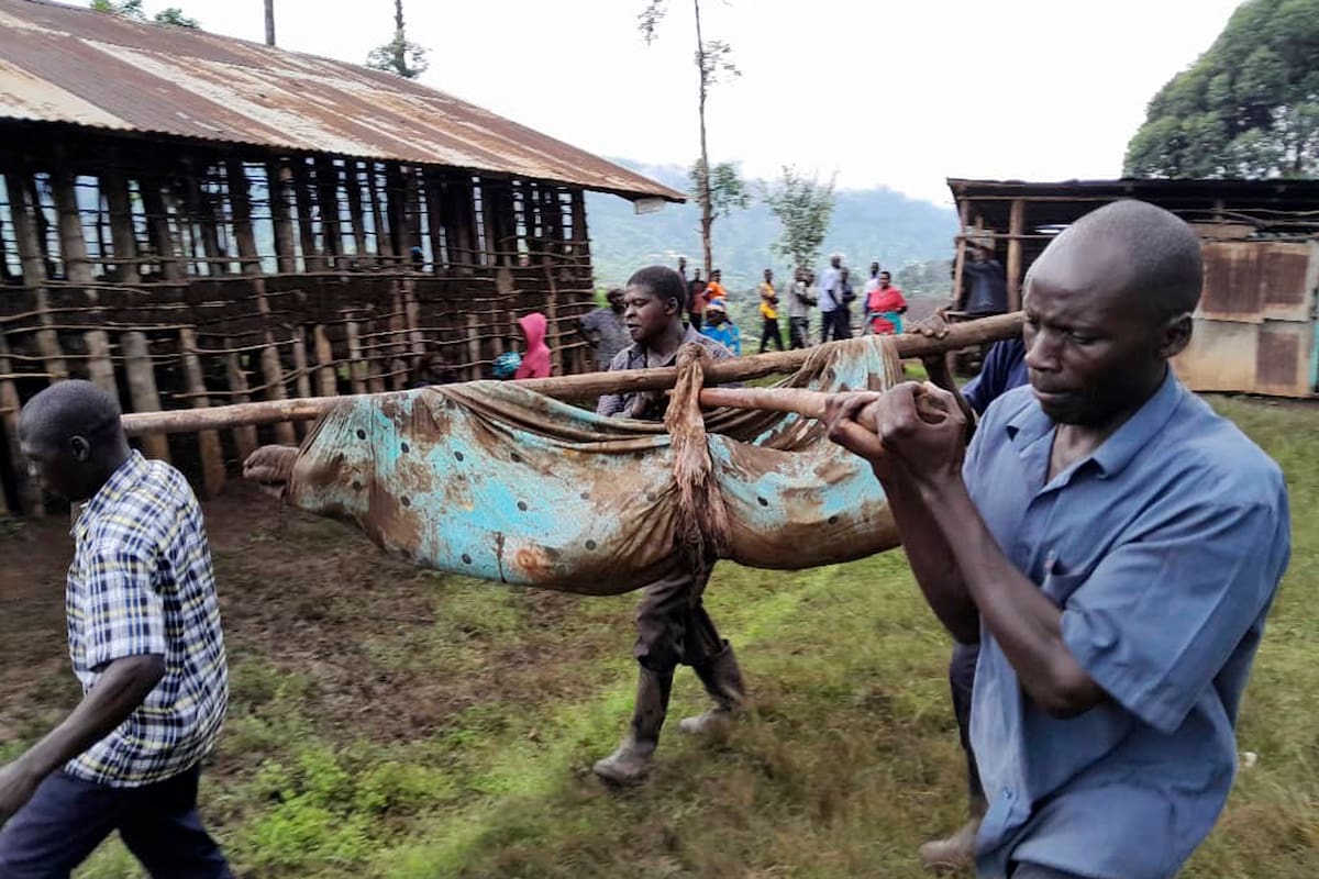 Rescatistas cargan cuerpos luego de que unos aludes enterraron 40 casas en el distrito montañoso de Bulambuli, en el este de Uganda. //AP