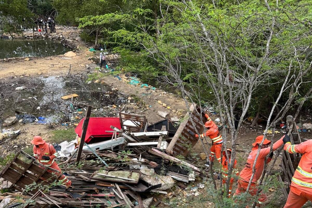 Distrito desmonta estructuras de madera que invadían mangles en La Boquilla
