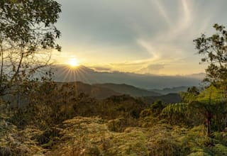 Colombia celebra hoy el Día Cívico de la Paz con la Naturaleza: ¿de qué trata?