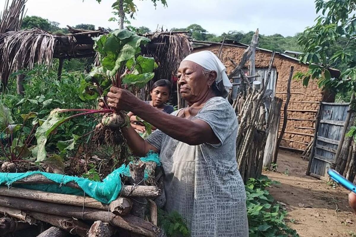 Estas empresas avanzan hacia la sostenibilidad del agua en La Guajira