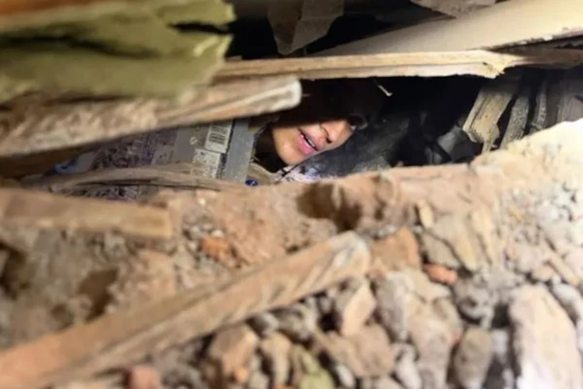 Diana Lucía sobrevivió más de 24 horas bajo los escombros tras el terremoto: así fue el rescate