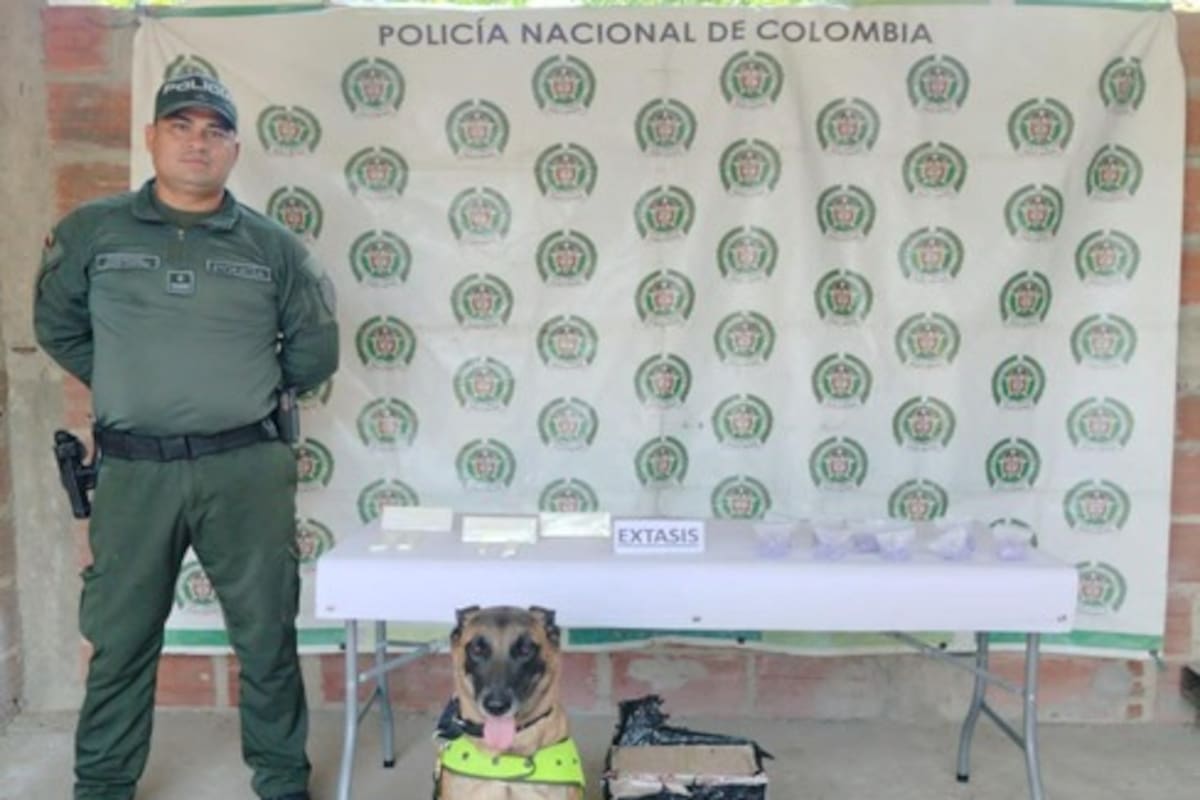 ¡Hallazgo clave! Canino descubrió droga sintética oculta en una encomienda