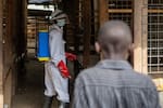 El brote mortal no se detiene: 204 fallecidos por ébola en RD del Congo