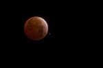 Eclipse lunar de este jueves: ¿se verá la “Luna de Sangre” en Cartagena?
