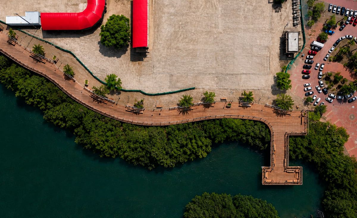 Vista aérea del diseño proyectado para el puente elevado sobre el entorno de manglar