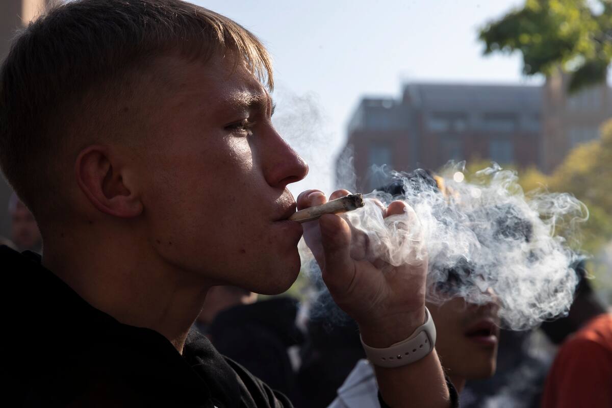 EE.UU. registra por primera vez más consumidores diarios de cannabis que de alcohol