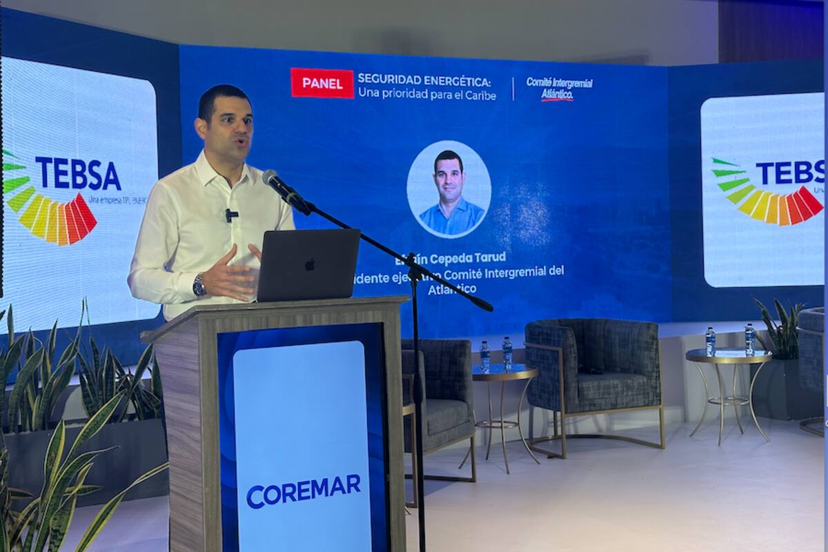 “Habrá emergencia energética si Sirius no entra a funcionar pronto”
