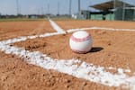 Bolívar ganó título nacional sub-15 de béisbol: pelea entre aficionados empañó todo