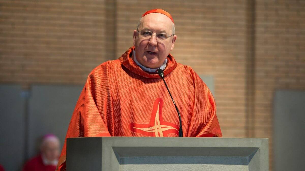 El cardenal Kevin Farrell. // Foto: tomada de internet