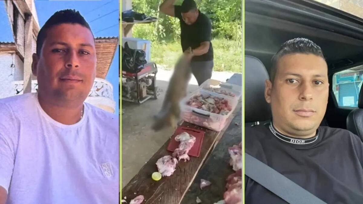 El caso de maltrato animal ocurrido en una carnicería rural de Antioquia fue registrado en video y encendió la indignación nacional.