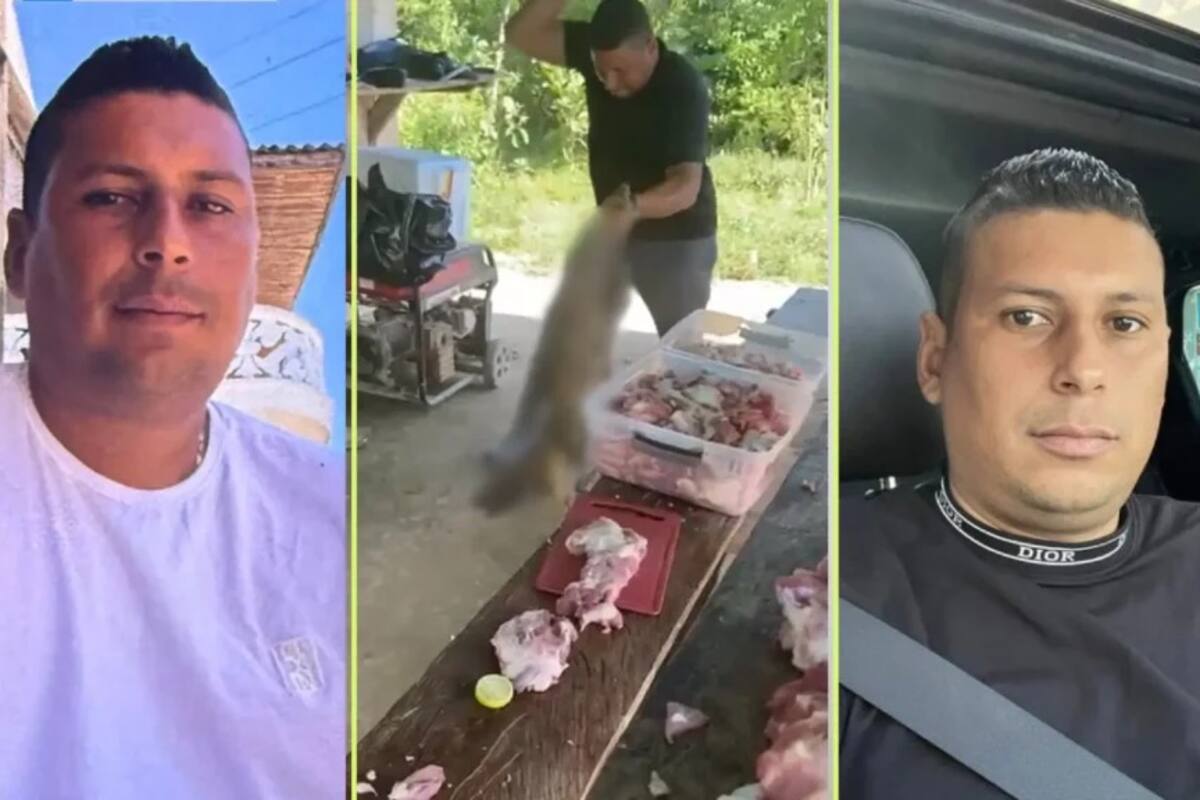 Esta es la verdadera historia del brutal maltrato a perrito en Bolívar