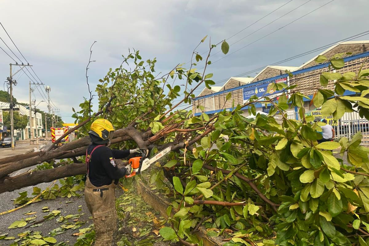 El Cuerpo Oficial de Bomberos de Cartagena atendió varias emergencias provocadas por las lluvias. // Cortesía - Bomberos de Cartagena