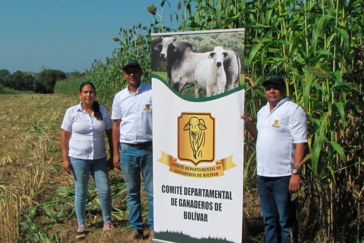 Hoy 30 de septiembre, Cartagena celebrará el Día Nacional del Ganadero