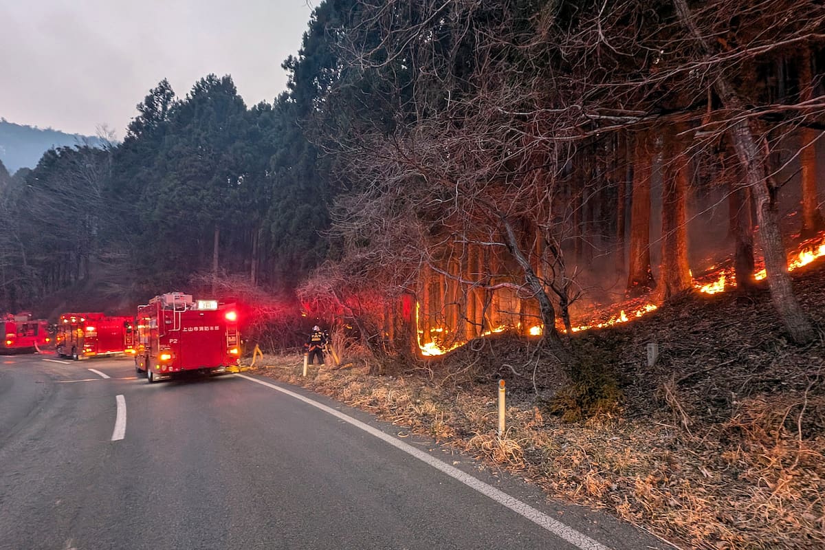Video: Japón se enfrenta a uno de los mayores incendios en décadas