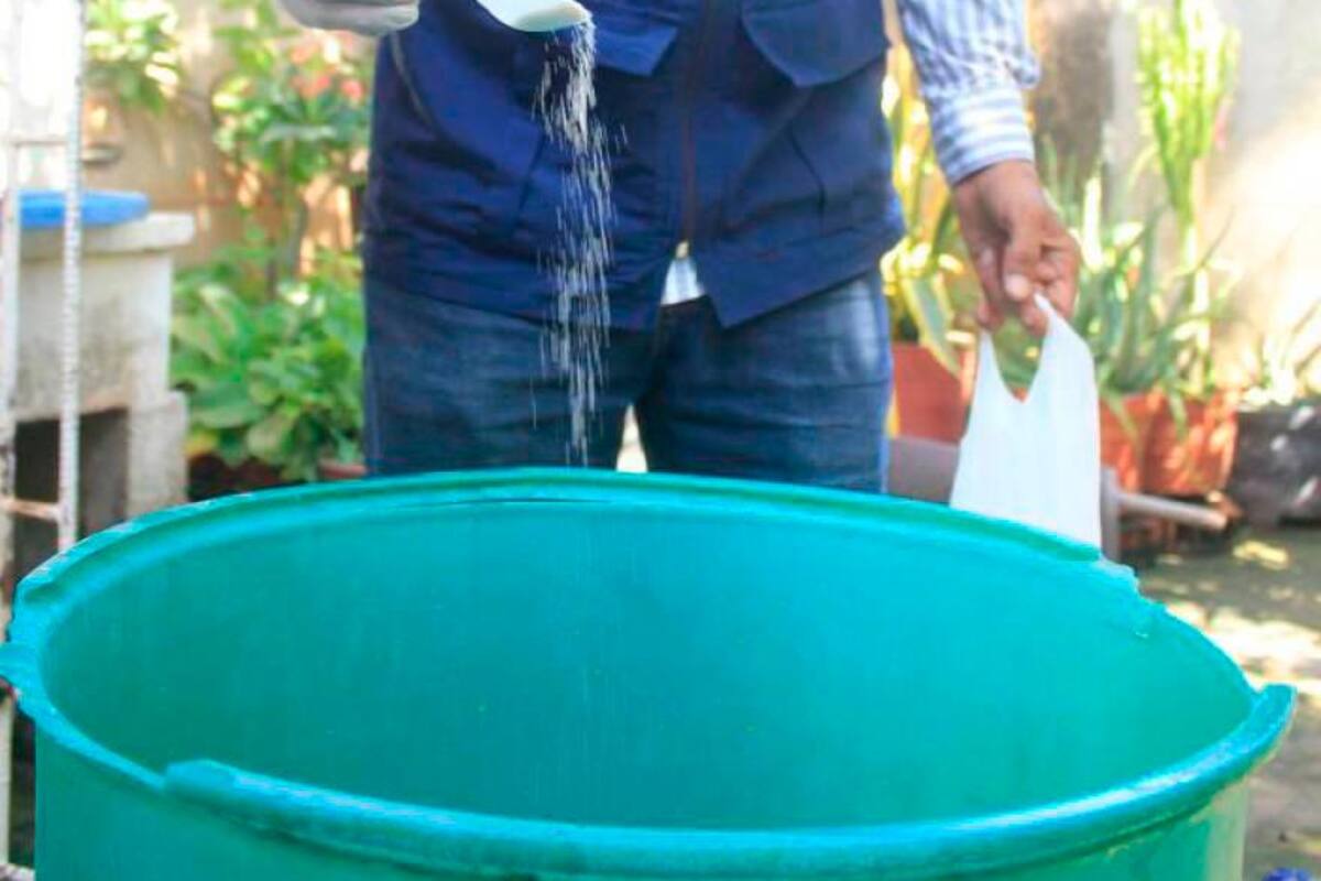 Alerta roja por dengue: ¿qué significa para Cartagena?