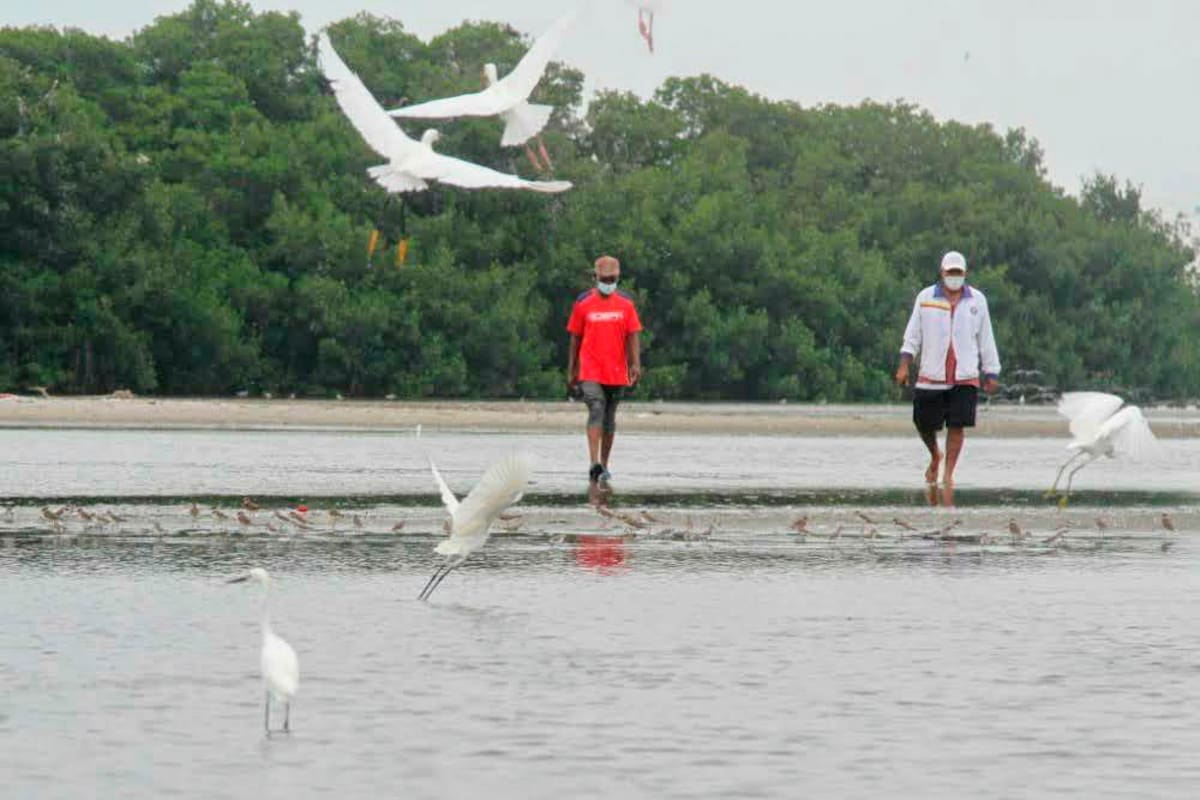 Pescadores de Cartagena lanzan SOS por la ciénaga de La Virgen