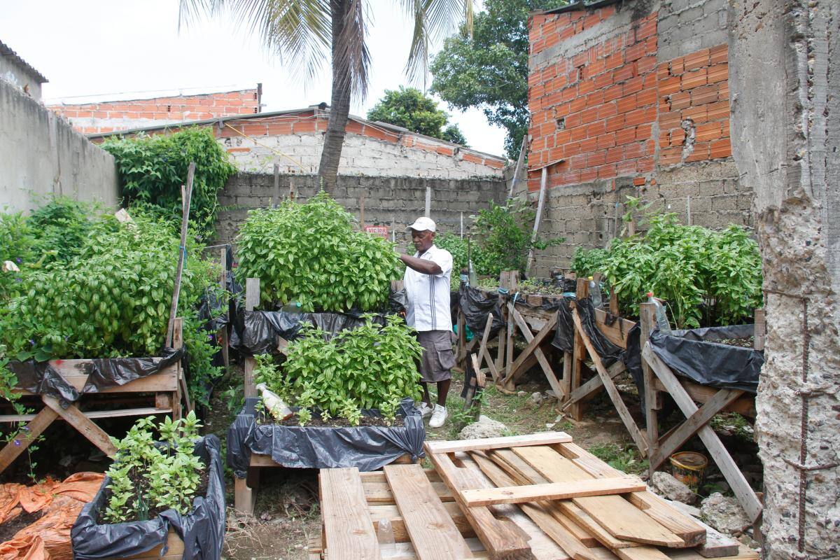 Las cosechas que le cambiaron la vida a las familias de Olaya