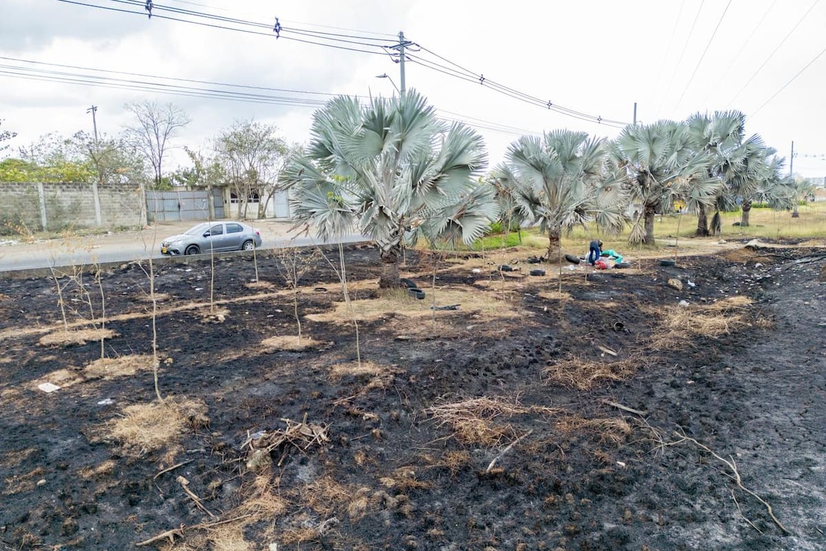 Daños ambientales en El Pozón: Alcaldía investiga quema indiscriminada