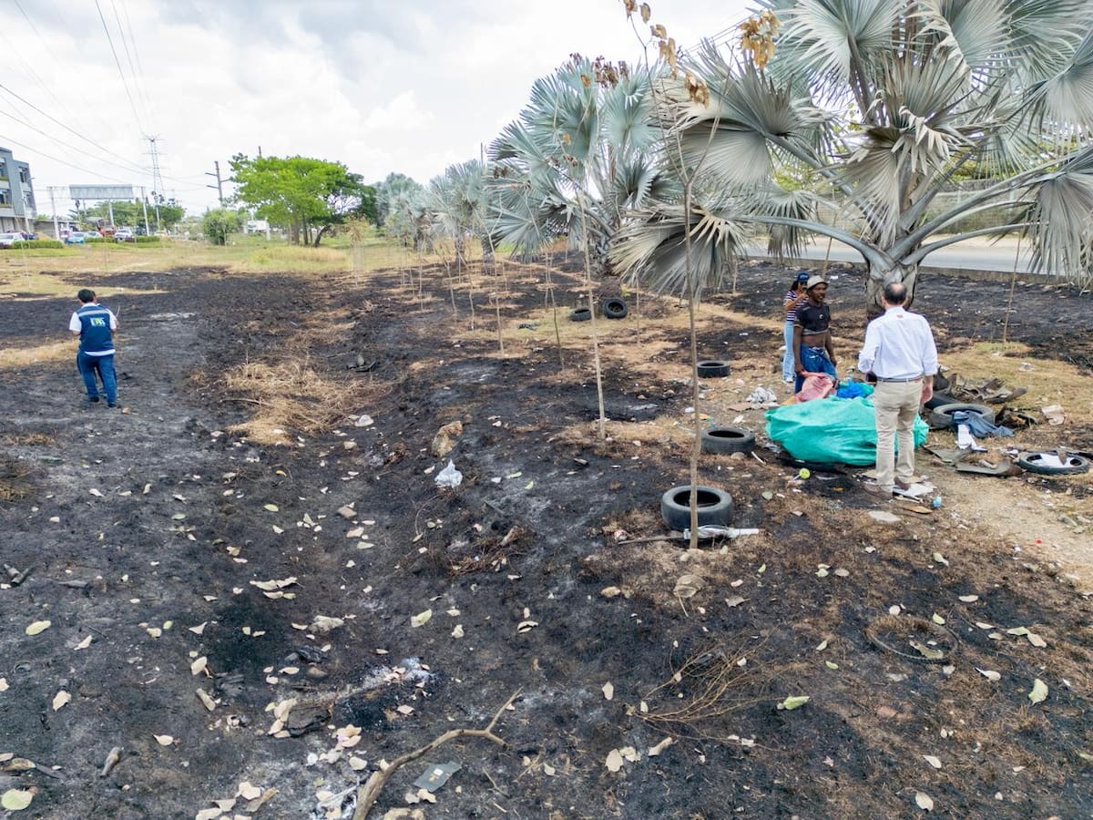 Durante el recorrido de la quema de plantas en el separador vial de El Pozón, el EPA halló residuos de combustibles. // Foto: Cortesía - Alcaldía de Cartagena.