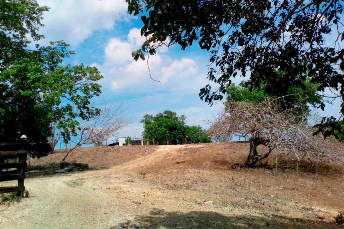 SAE entregará la finca ‘Cachenche’ a más de 300 familias campesinas