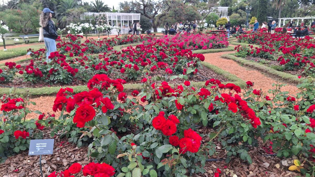 El Rosedal. // Camila A. Hernández