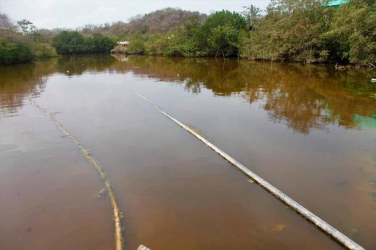El tubo descarga aguas residuales en el caño.