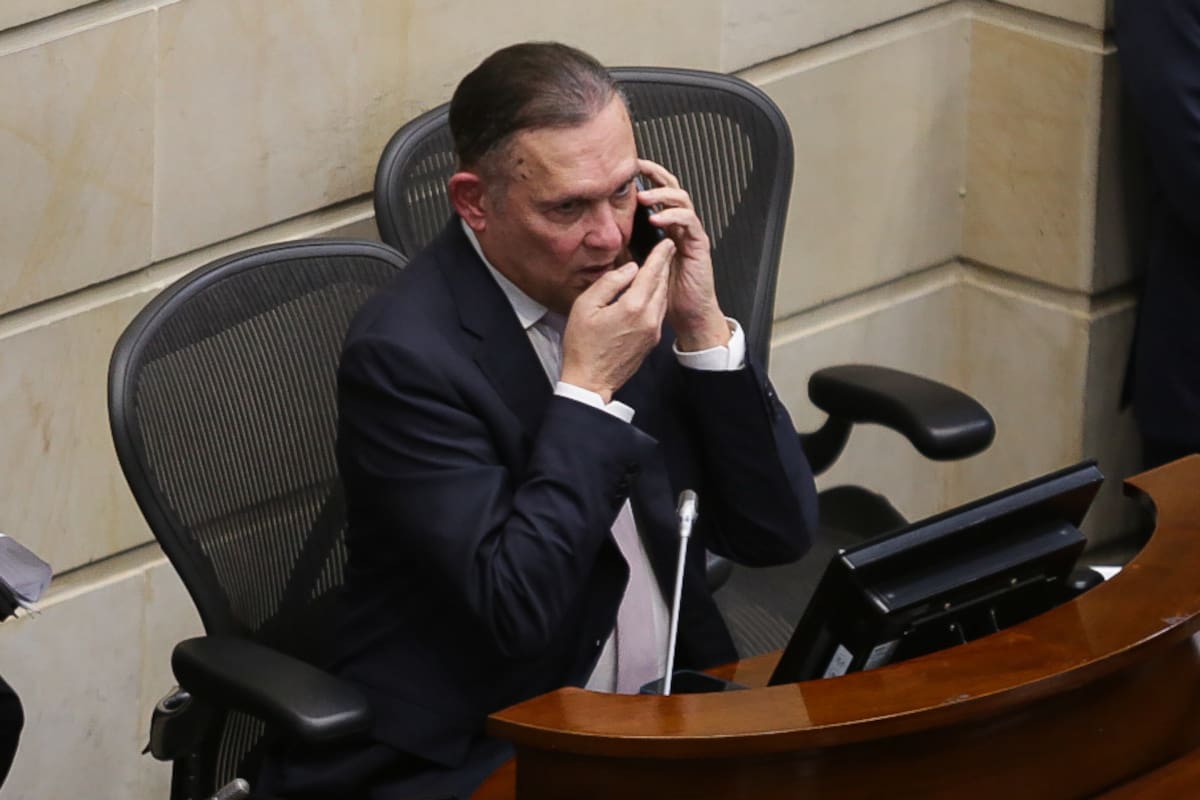 Bogotá. Noviembre 18 de 2024. En la plenaria del Senado de la República, se realiza la votación en la que se escogerá al nuevo magistrado de la Corte Constitucional. (Colprensa - Cristian Bayona).