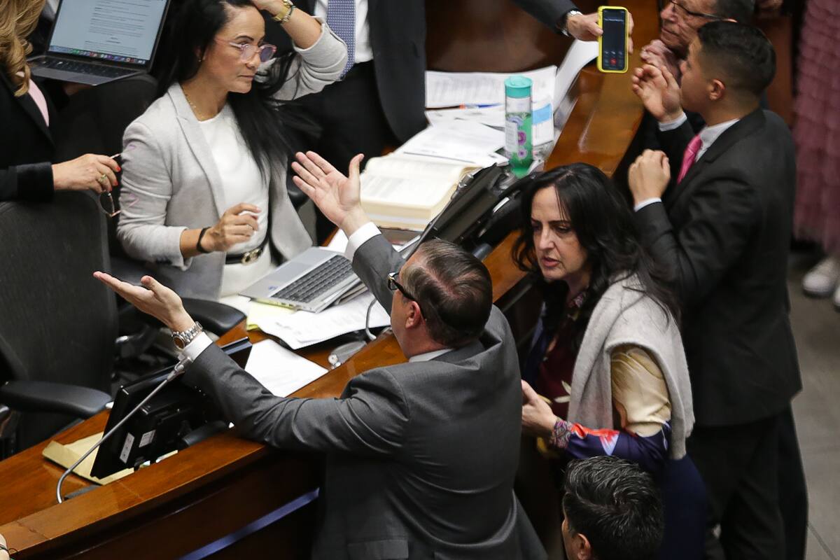 Bogotá. Noviembre 18 de 2024. En la plenaria del Senado de la República, se realiza la votación en la que se escogerá al nuevo magistrado de la Corte Constitucional. (Colprensa - Cristian Bayona).