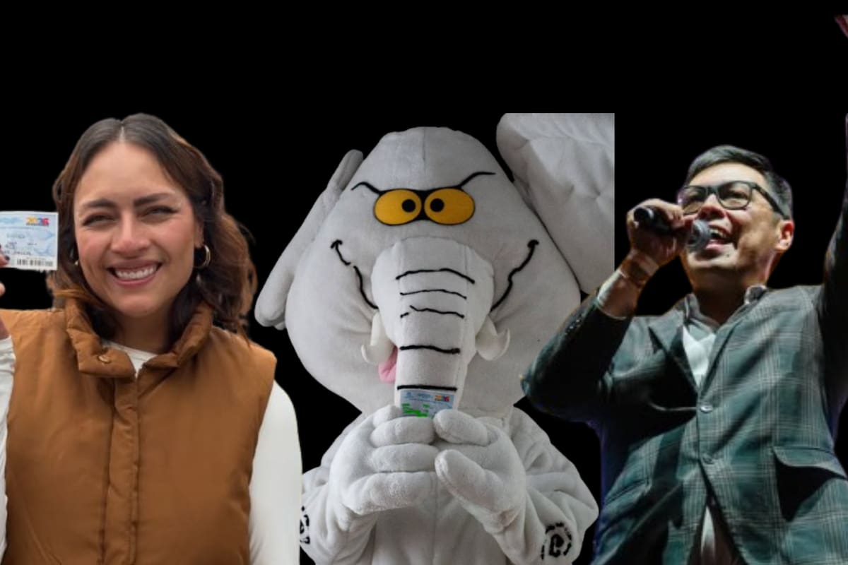 Los influencers que sí ganaron las elecciones 2026 y lograron entrar al Congreso