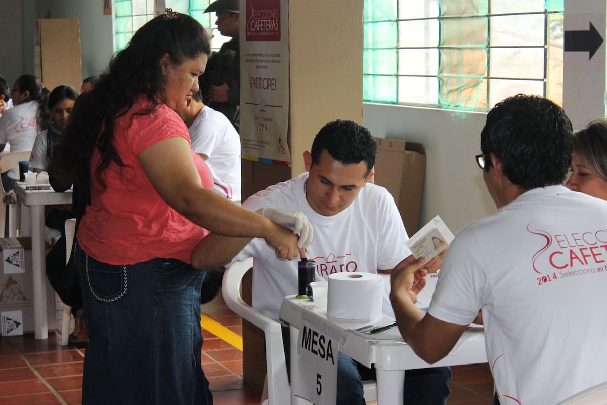 Caficultores de Bolívar, a votar en elecciones cafeteras 2026