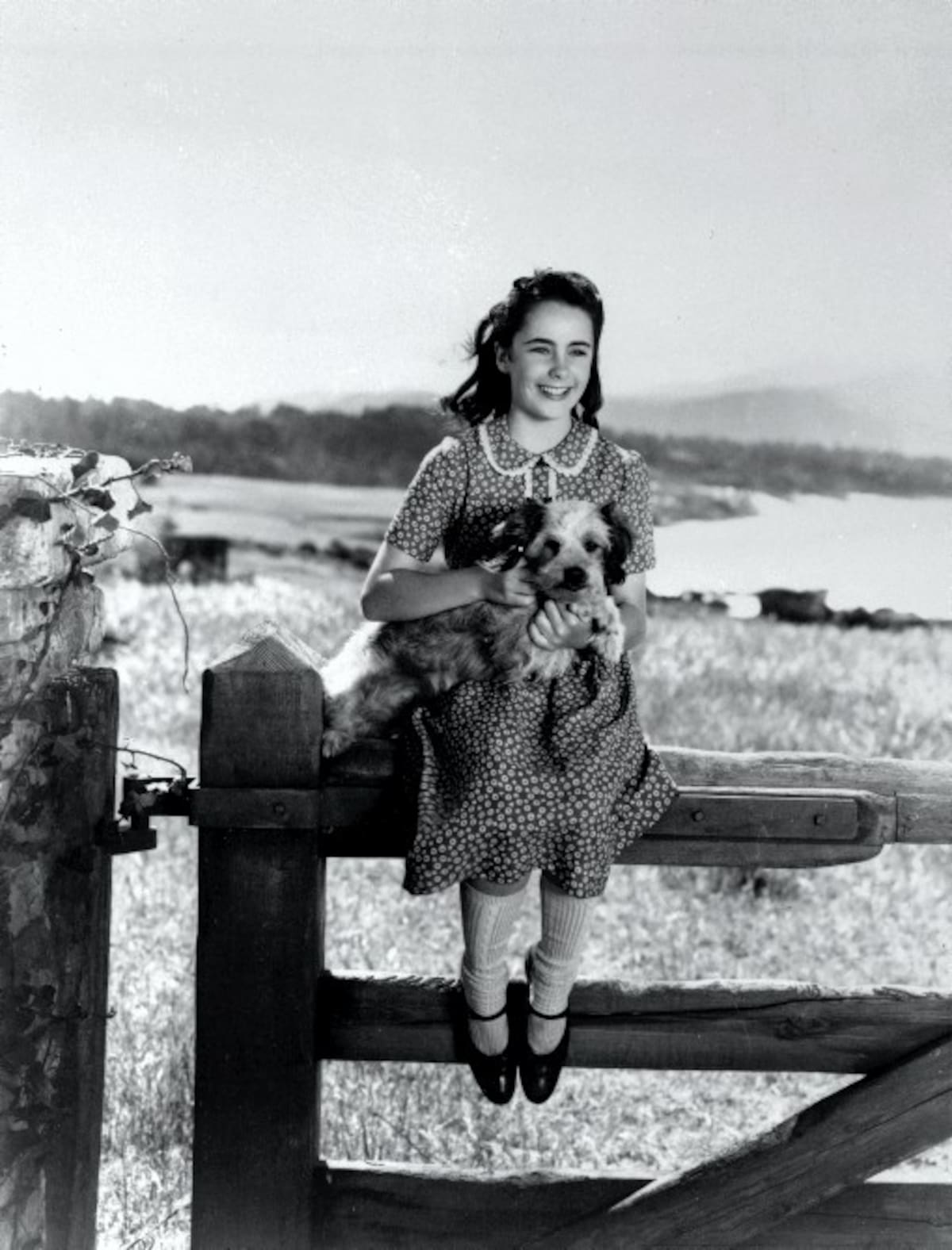 Elizabeth Taylor en la película "National Velvet". AP