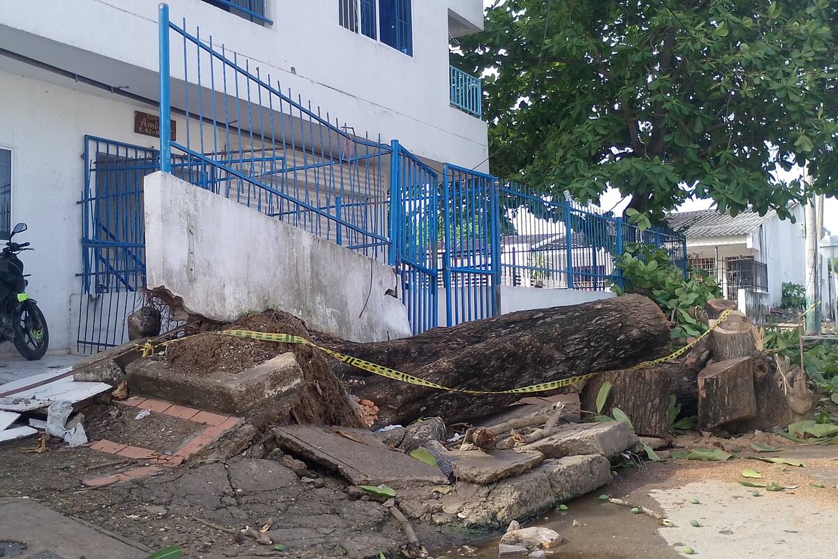Tormenta en Cartagena: autoridades reportaron más de 80 emergencias