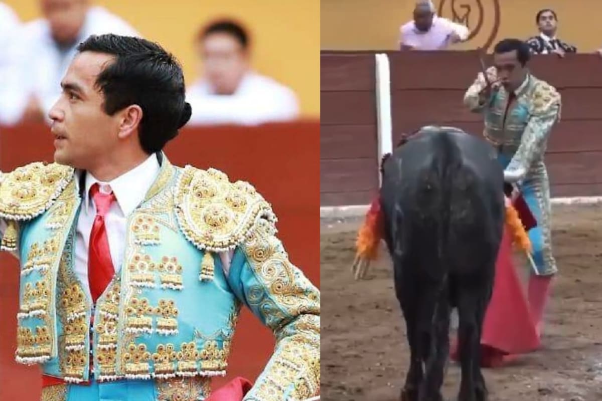 Impactante video: toro cornea a torero y lo deja en grave estado