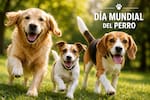 Día mundial del perro: Expertos alertan sobre enfermedades articulares en sus mascotas