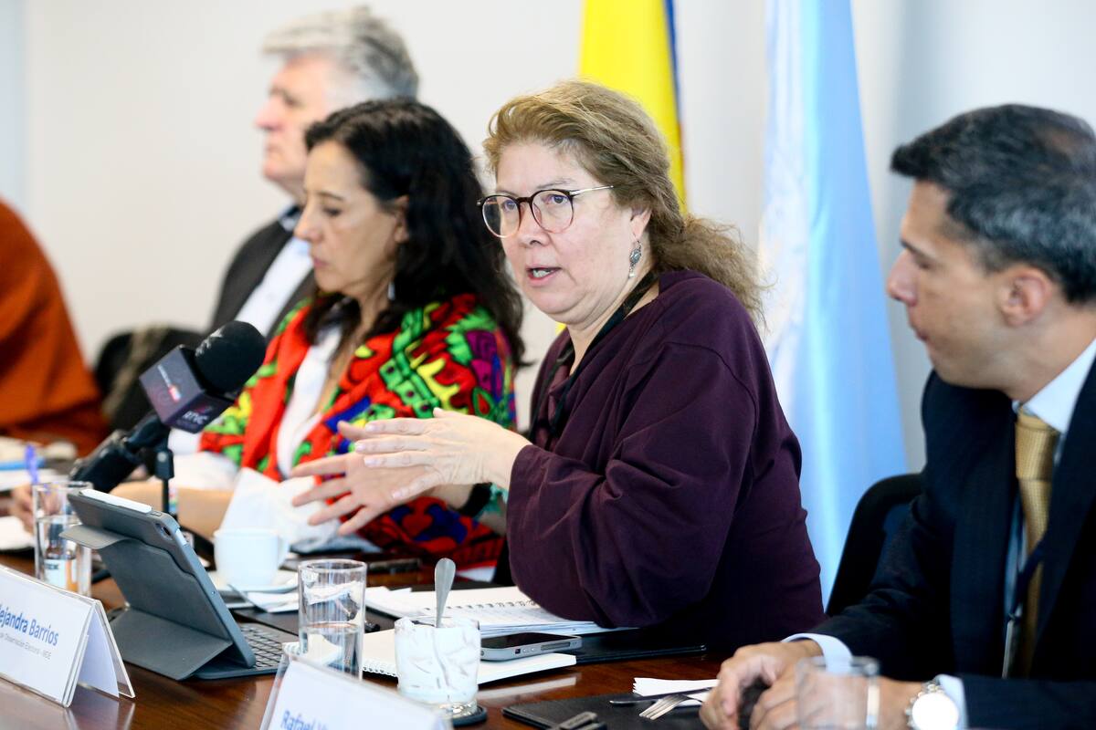 Alejandra Barrios, directora de la Misión de Observación de Electoral (MOE). // Foto: Colprensa - Lina Gasca.