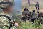Defensoría alerta crisis en el Cauca tras enfrentamientos entre disidencias y el Ejército