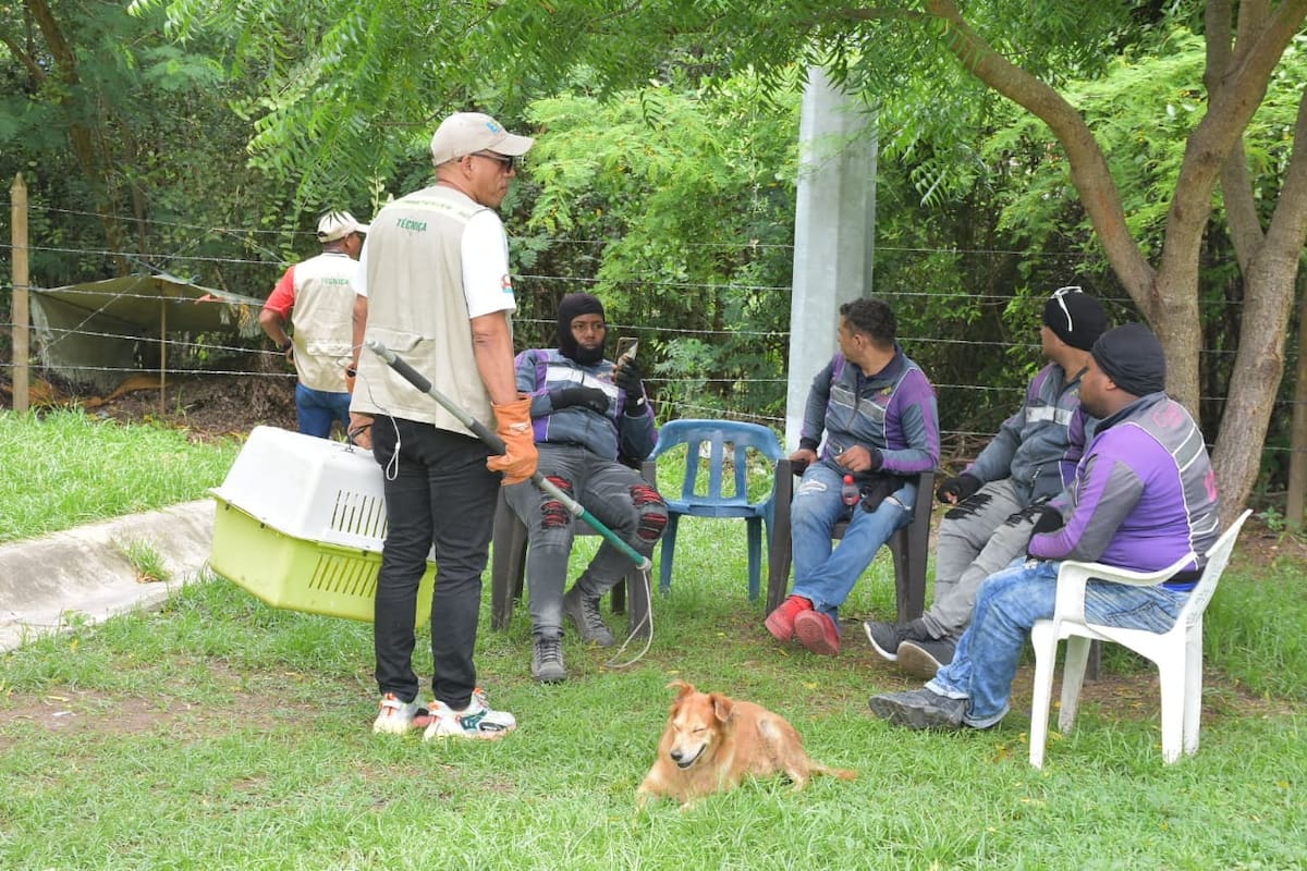 EPA Cartagena continúa campaña por el rescate de animales silvestres