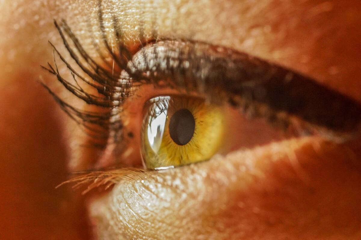 Imagen de referencia sobre el escaneo del iris de los ojos. // Pixabay.