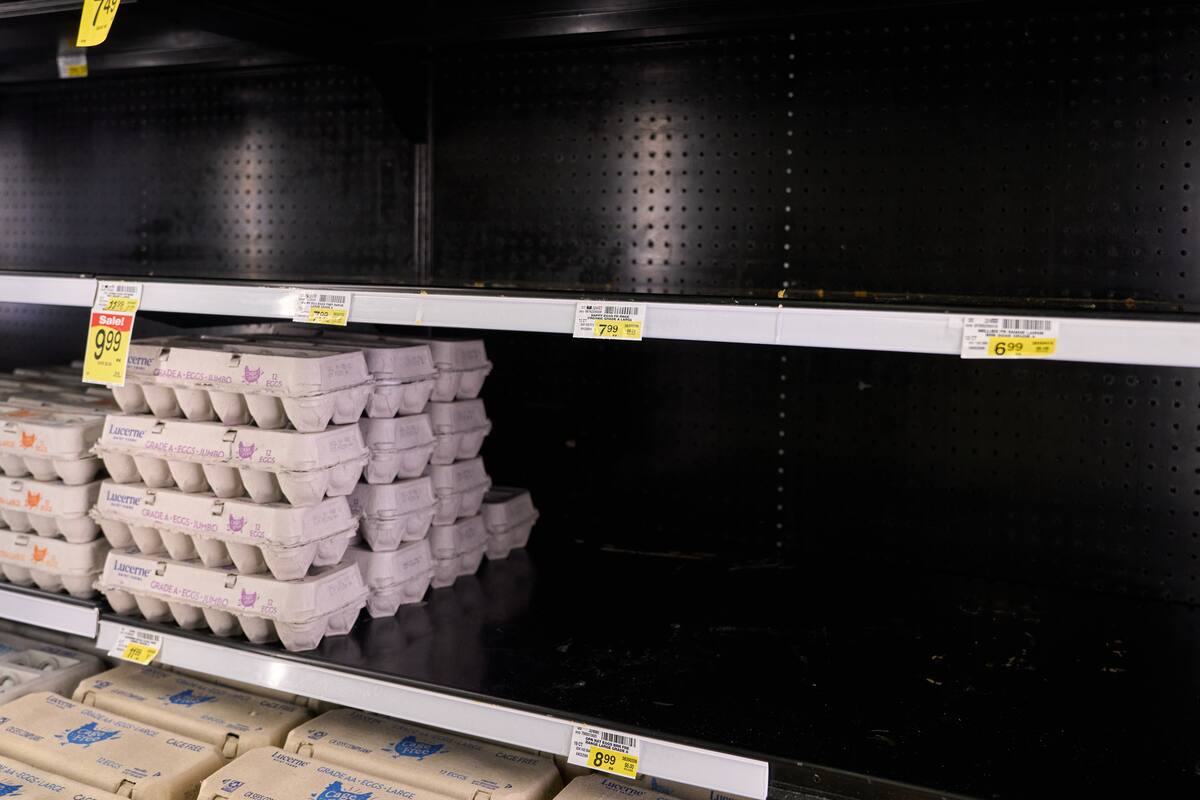 Estantes de supermercados ofrecen pocas cantidades de huevos a los compradores. // EFE