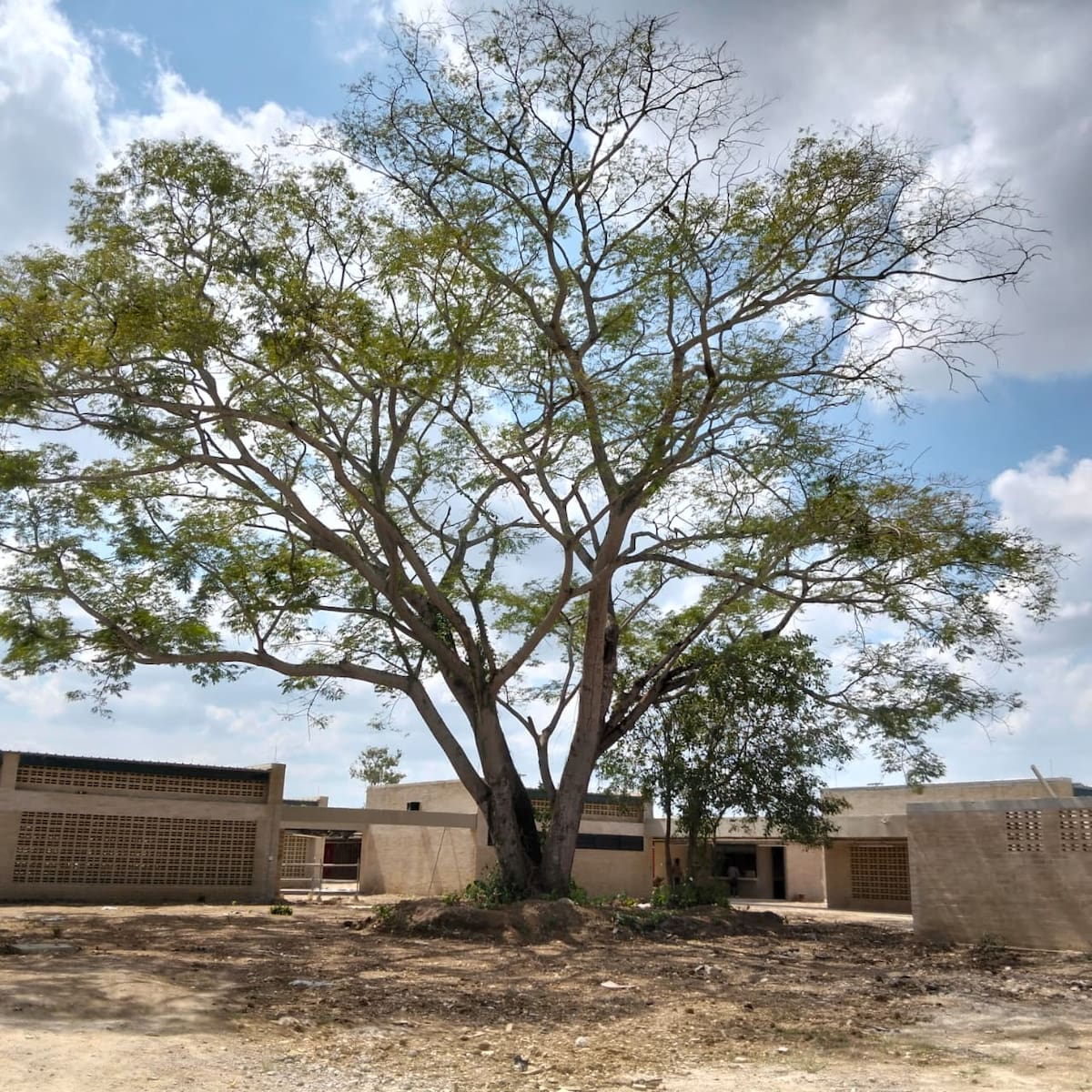 Findeter, entidad encargada de la construcción de la escuela, entregará el plantel al Distrito el próximo 26 de enero para su administración. // Foto: Zenia Valdelamar - El Universal