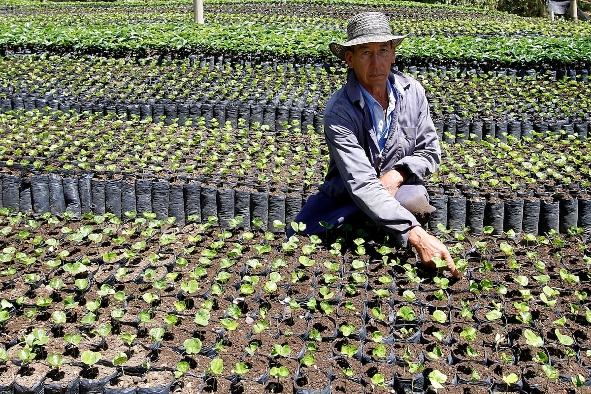 MinAgricultura inicia gira por Europa e Israel en busca de inversión para el agro