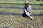 MinAgricultura inicia gira por Europa e Israel en busca de inversión para el agro